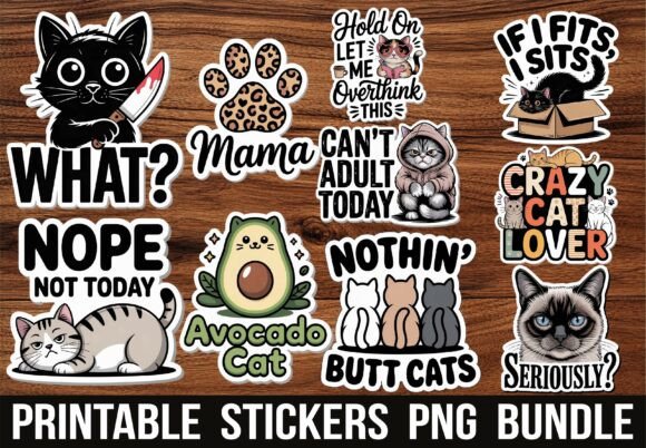 Funny Sassy Black Cat Kawaii Stickers: A Designer’s Real-World Embroidery Review