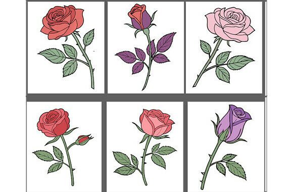 Set of Hand-drawn Rose Flower SVG Bundle Review